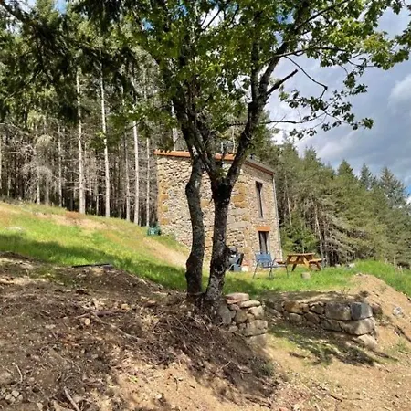 Maison De Vigne Renovee A Langeac, Nature Et Randonnees - Fr-1-582-86 *