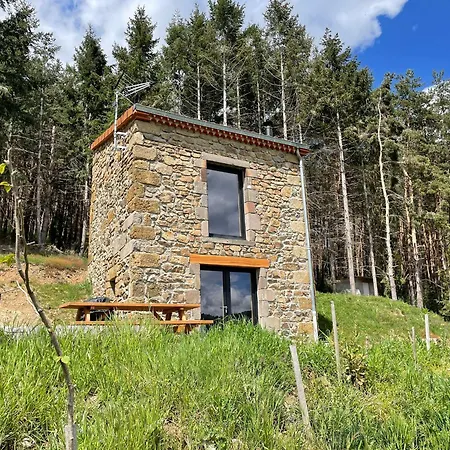 Maison De Vigne Renovee A Langeac, Nature Et Randonnees - Fr-1-582-86 펜션