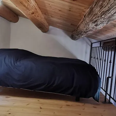 Maison De Vigne Renovee A Langeac, Nature Et Randonnees - Fr-1-582-86