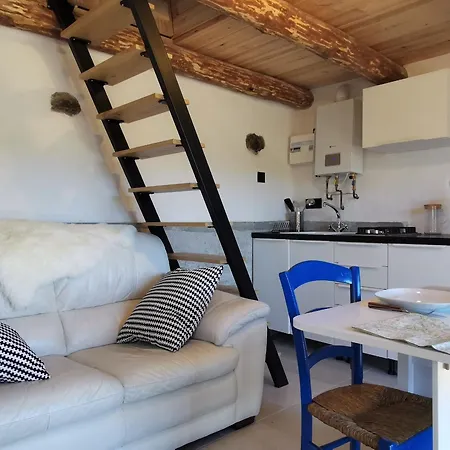 Maison De Vigne Renovee A Langeac, Nature Et Randonnees - Fr-1-582-86