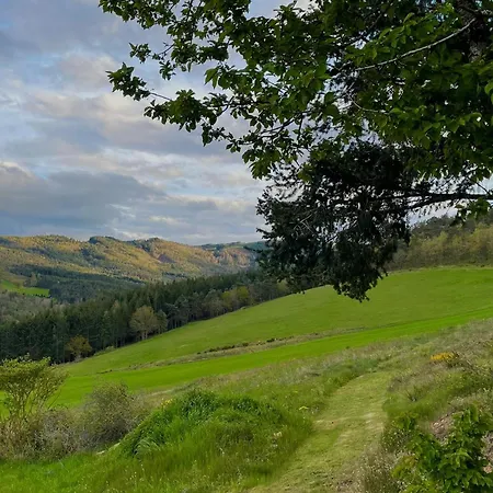 펜션 Maison De Vigne Renovee A Langeac, Nature Et Randonnees - Fr-1-582-86 *