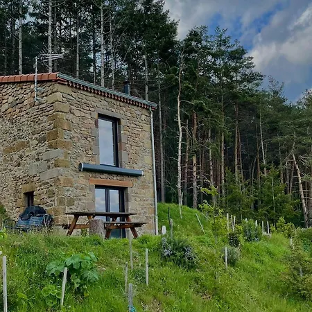 Maison De Vigne Renovee A Langeac, Nature Et Randonnees - Fr-1-582-86 * Langeac